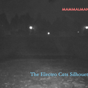 The Electro Cat's Silhouette