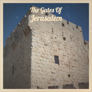 Has Anybody Seen Me Lately