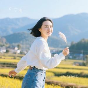 去有风的地方 (安澜 Remix)