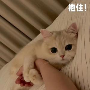 不是秘密的秘密（翻唱）