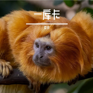 閲戝睘绂诲悎鍣ㄤ箰绔