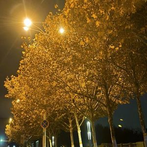 我们不该这样 但却只能这样