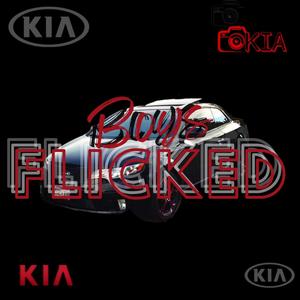 Boyz Flicked (feat. BlbDre Loww, Blbwayne Loww, Spm rackedup, Beenlowboy sj & DeadOnArrival Maine)