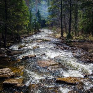 抚慰的回春回忆