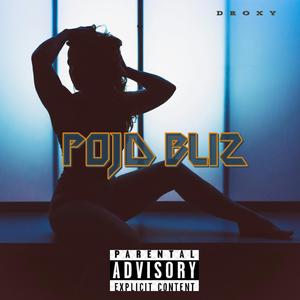 POJD BLIZ