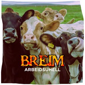 Arbeidsuhell
