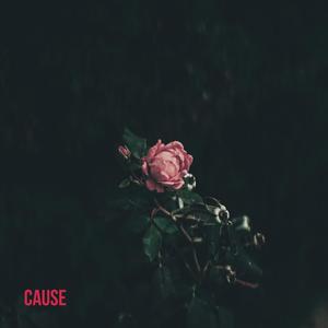 Cause