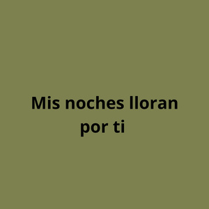 Mis noches lloran por ti