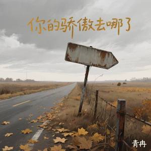 你的骄傲去哪了