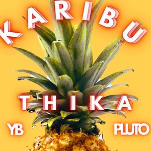 KARIBU THIKA