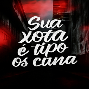 Mt sua xota e tipo os cana só procura traficante