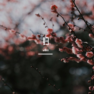 归 demo