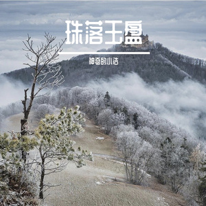 珠落玉盘