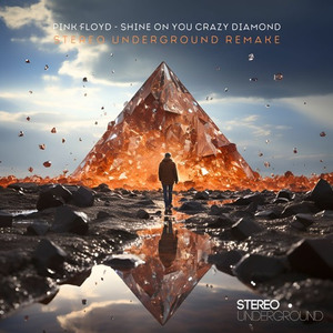 Shine On You Crazy Diamond (Stereo Underground Remake)
