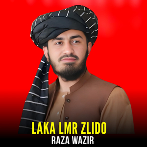 Laka Lmr Zlido