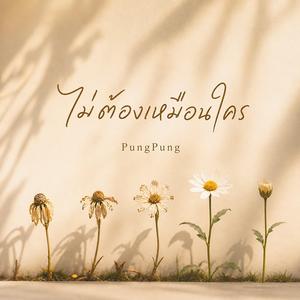 ไม่ต้องเหมือนใคร