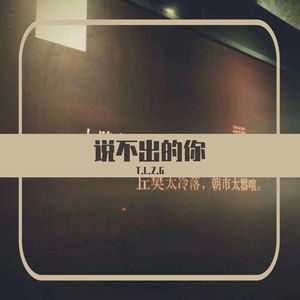 说不出的你