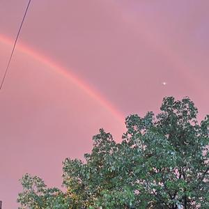 来不及（cover 刘瑞琦）