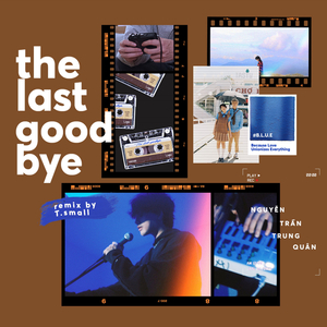 The Last Goodbye (T.Small Remix)