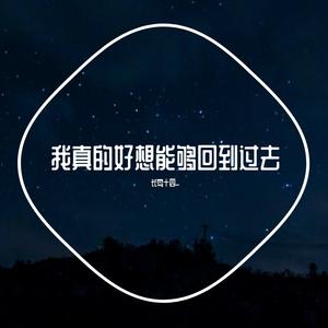 我真的好想能够回到过去