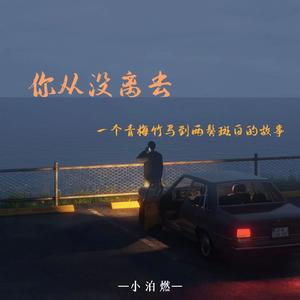 你从没离去