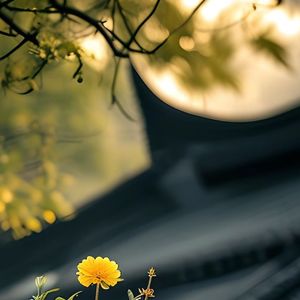 带我去找夜生活