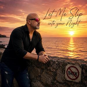 Let Me Slip Into Your Night