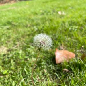 ur love is torturous