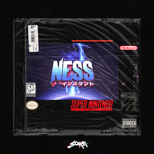 NESS