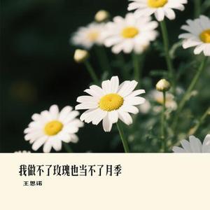 我做不了玫瑰也当不了月季