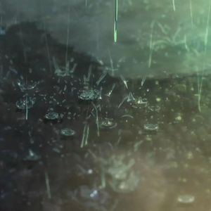 雨爱