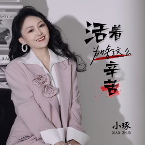 活着为啥这么辛苦 (DJ版)