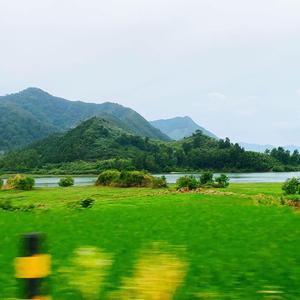 豆浆油条（原唱林俊杰）