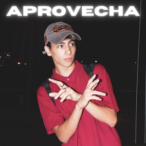 Aprovecha