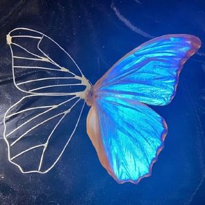 低调傲慢（live版）