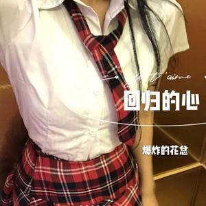 非凡哥斯拉(DJ版)