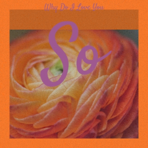 I can't sleep with you