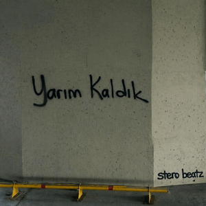 Yarım Kaldık