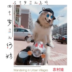 三十岁了又怎样,四十岁了又何妨