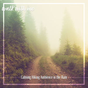 Calming Hiking Ambience in the Rain, Pt. 17