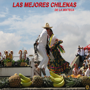 Chilena - G. R-14