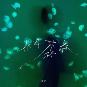 看月亮