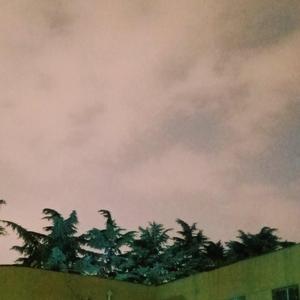 远在北方孤独的鬼