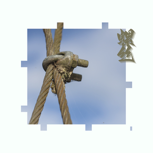 螺丝