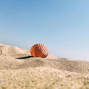 Shallow Sea