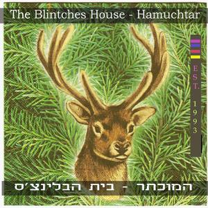 כדור המראות