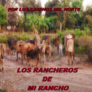 El Carracuas