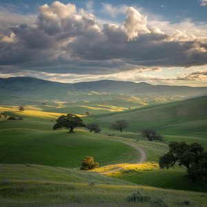 아픔을 믿을 수 이유는
