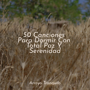 Momentos De Tranquilidad