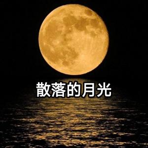 散落的月光